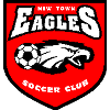 格伦诺奇骑士后备队